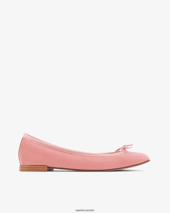 Cendrillon Ballerinas Pink Footwear Repetto 48HPNT113 Women